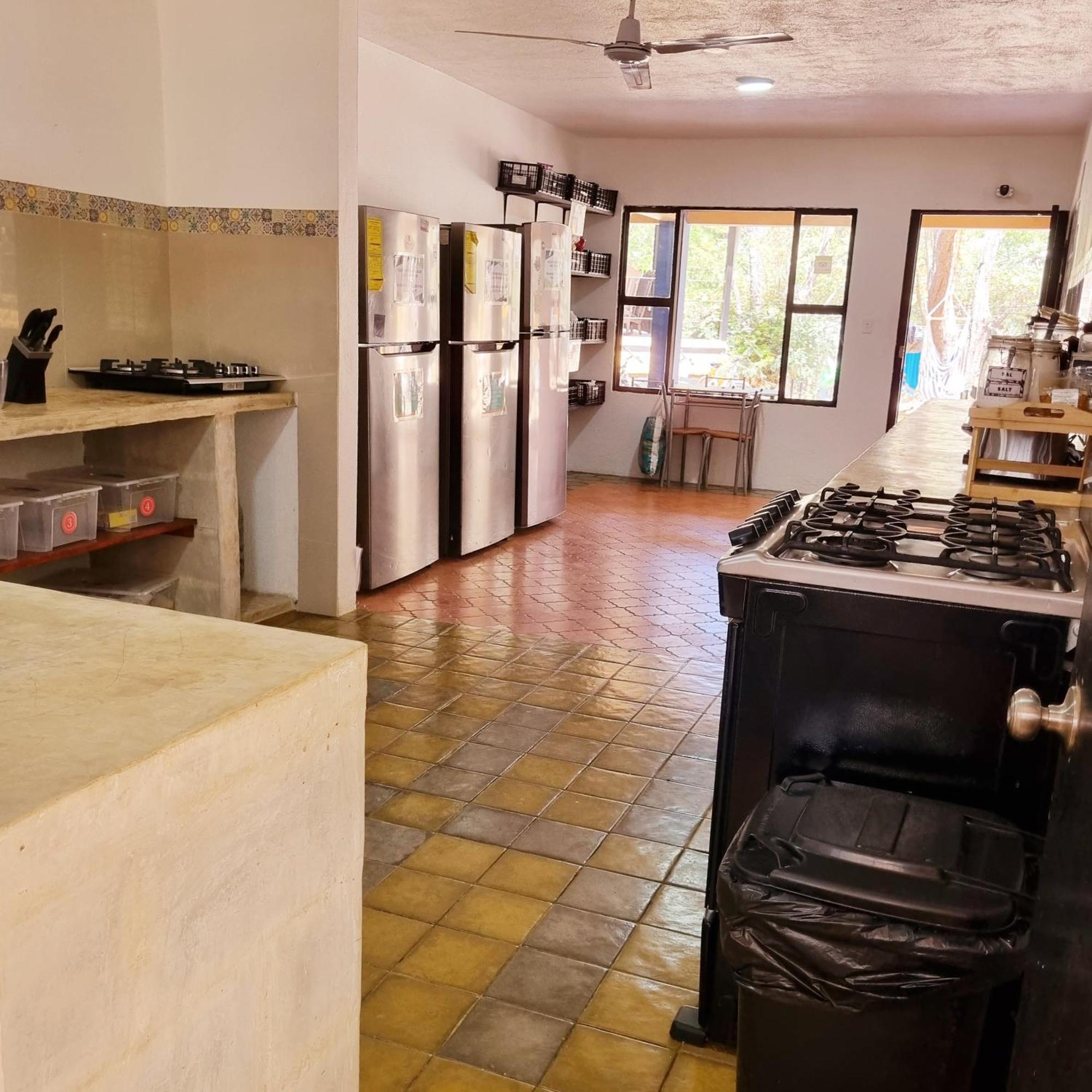 Casa Pura Vida Surf Hostel - Tamarindo Costa Rica المظهر الخارجي الصورة